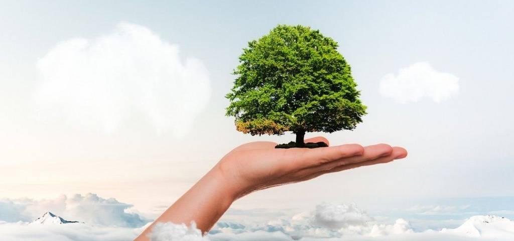Personne tenant un arbre dans sa main, au dessus des nuages