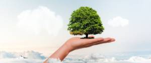 Personne tenant un arbre dans sa main, au dessus des nuages