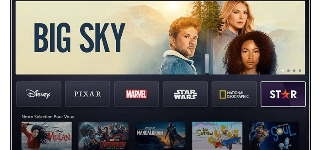 Capture d'écran de l'interface Disney+ Star