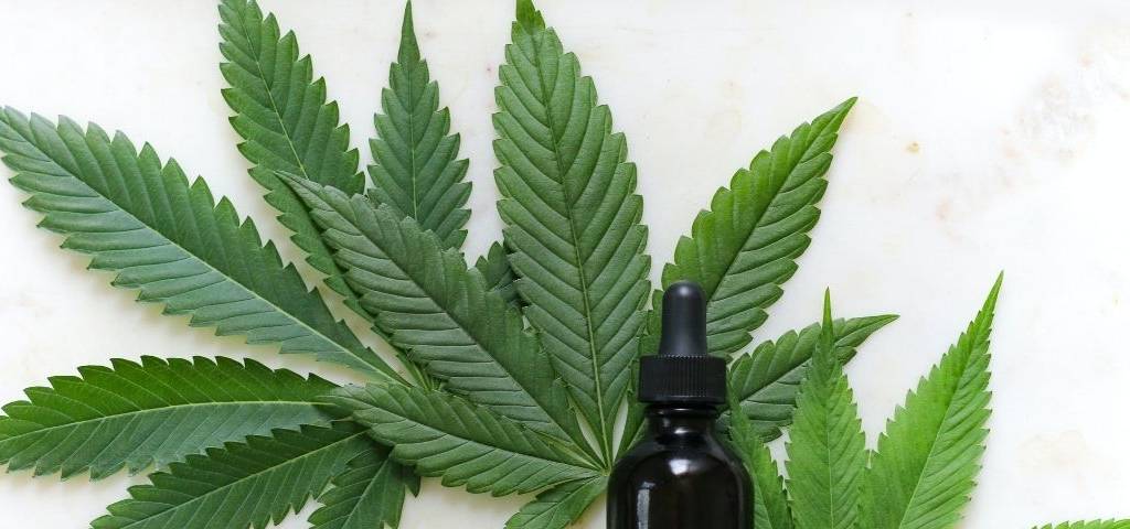 Feuille de cannabis avec une petite fiole d'huiles essentielles sur le devant de l'image