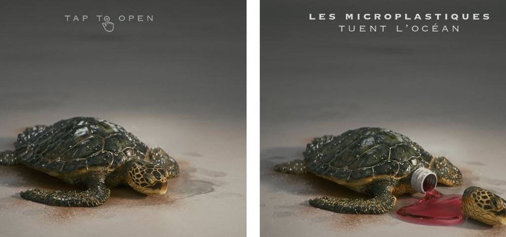 A gauche une tortue, à droite une tortue décapitée
