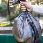Personne jetant un sac dans une poubelle