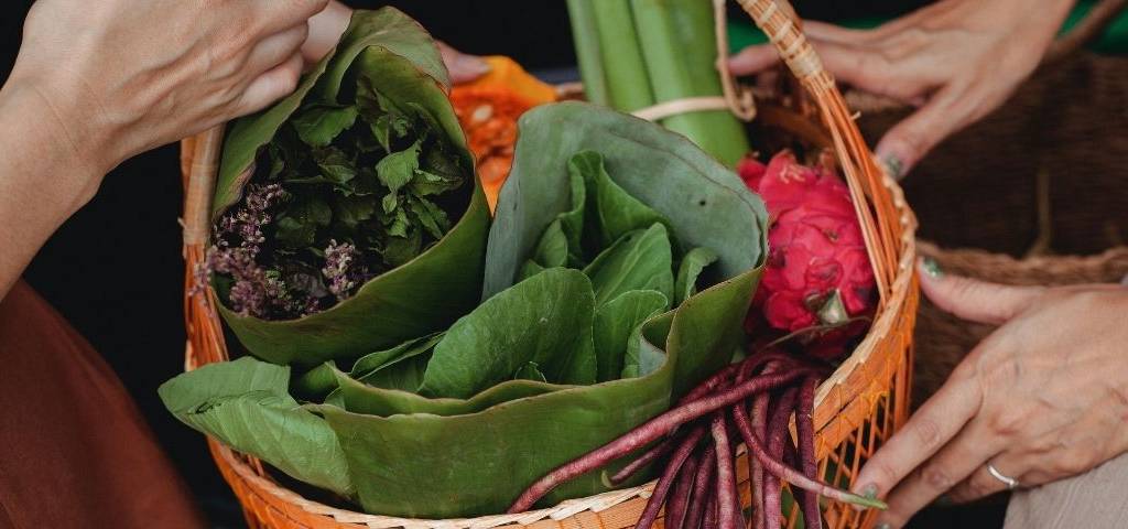 Panier de légumes