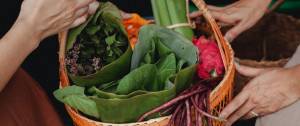 Panier de légumes