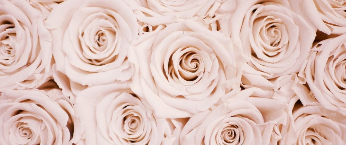 Lancôme lance son programme de développement durable « Prendre soin d'aujourd'hui pour un avenir plus heureux » qui cadre l'ensemble des ambitions de la marque en matière de développement durable et d'inclusion sociale Roses