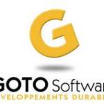 GOTO CAPITAL