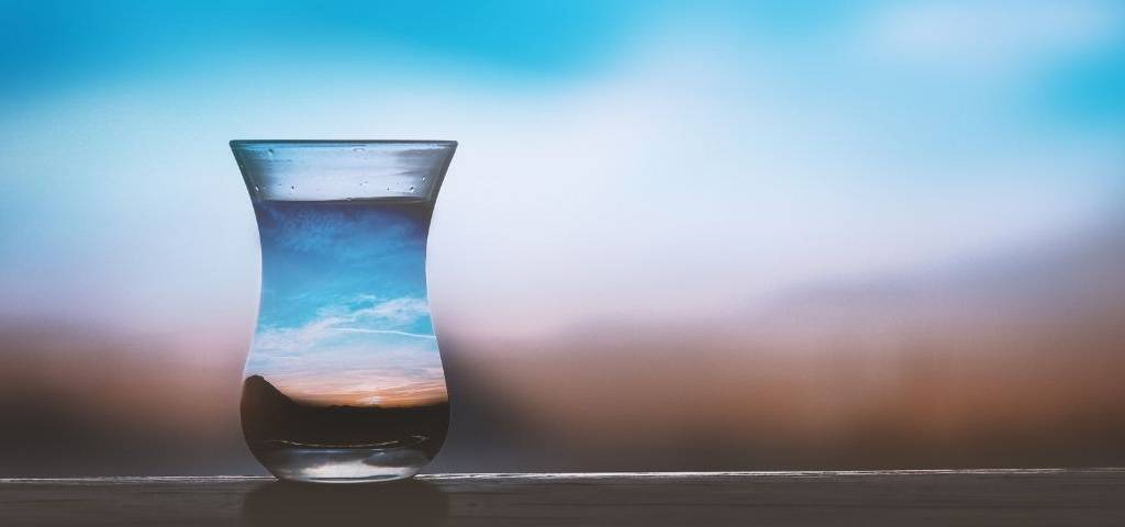 Eau dans un vase avec un ecosystème reconstitué
