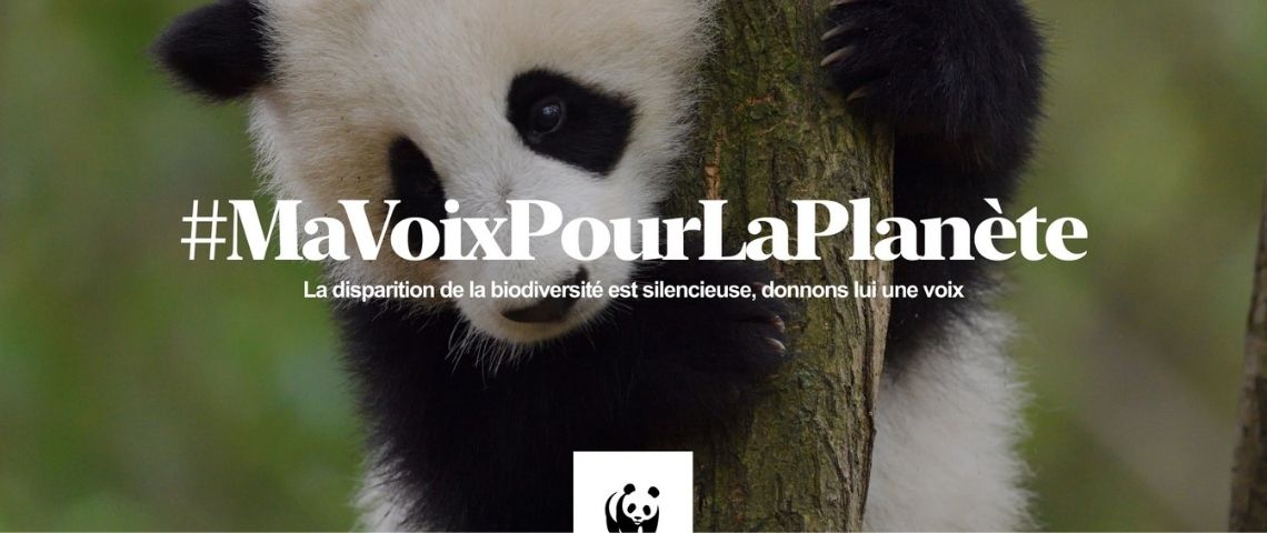 L'agence Socialclub a été sélectionnée par le WWF France pour sensibiliser le grand public sur l'érosion de la biodiversité Panda