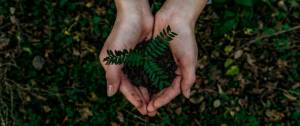 Climat, environnement, main, green