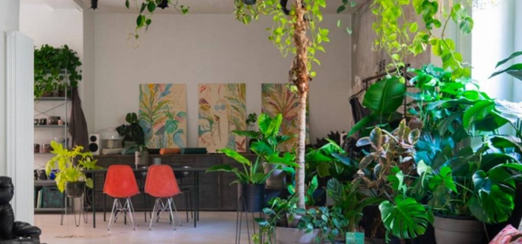 Un bureau avec de nombreuses plantes