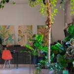 Un bureau avec de nombreuses plantes