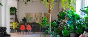 Un bureau avec de nombreuses plantes