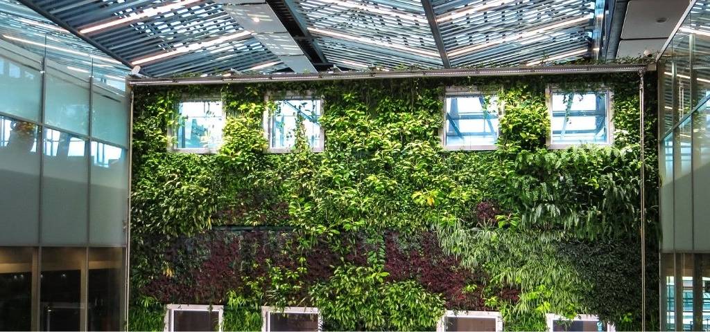 Batiment avec un mur végétal dans une cours intérieure
