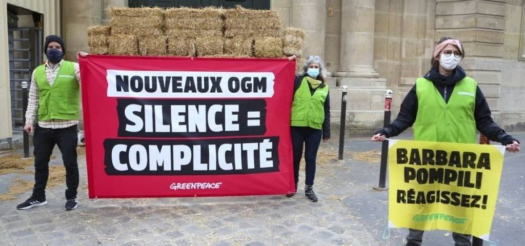 Manifestant Greenpeace devant le ministère de la Transition écologique