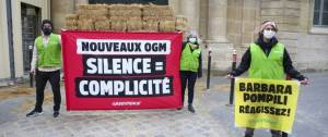 Manifestant Greenpeace devant le ministère de la Transition écologique