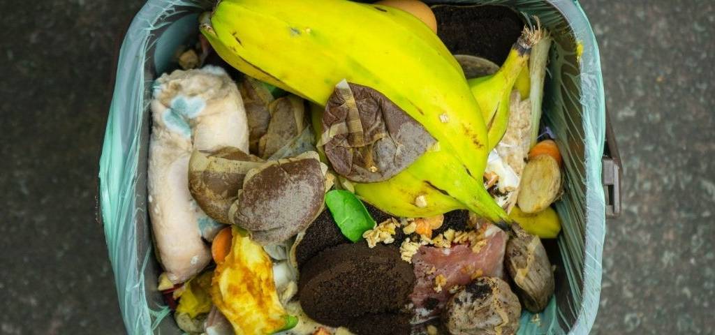 Compost