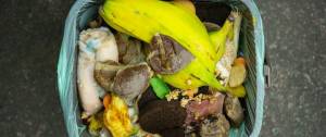Compost