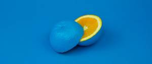 Un citron bleu coupé en deux