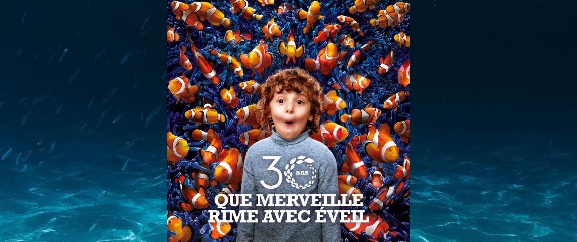 Sans-titre-17-8 Sans-titre-17-8