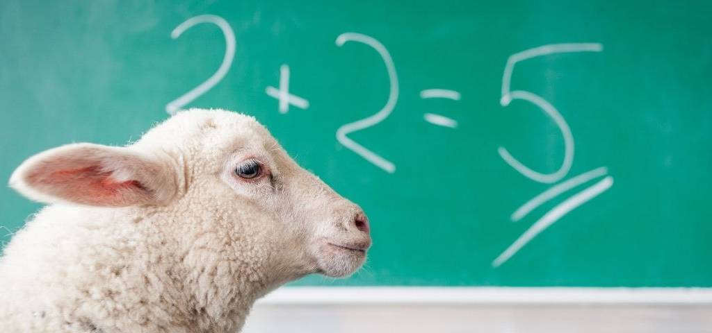 Un mouton au premier plan. Un tableau vert avec une fausse équation mathématique.
