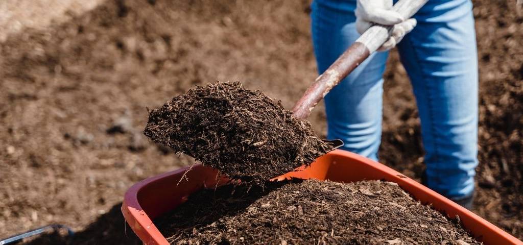 Compost