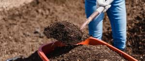 Compost