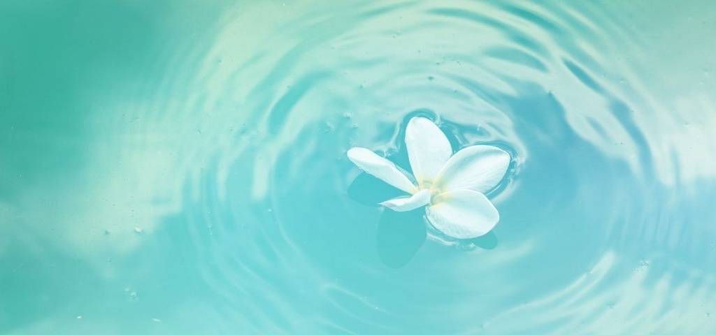 Eau avec une fleur flottant à la surface