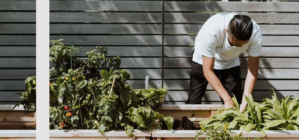 Un homme qui jardine