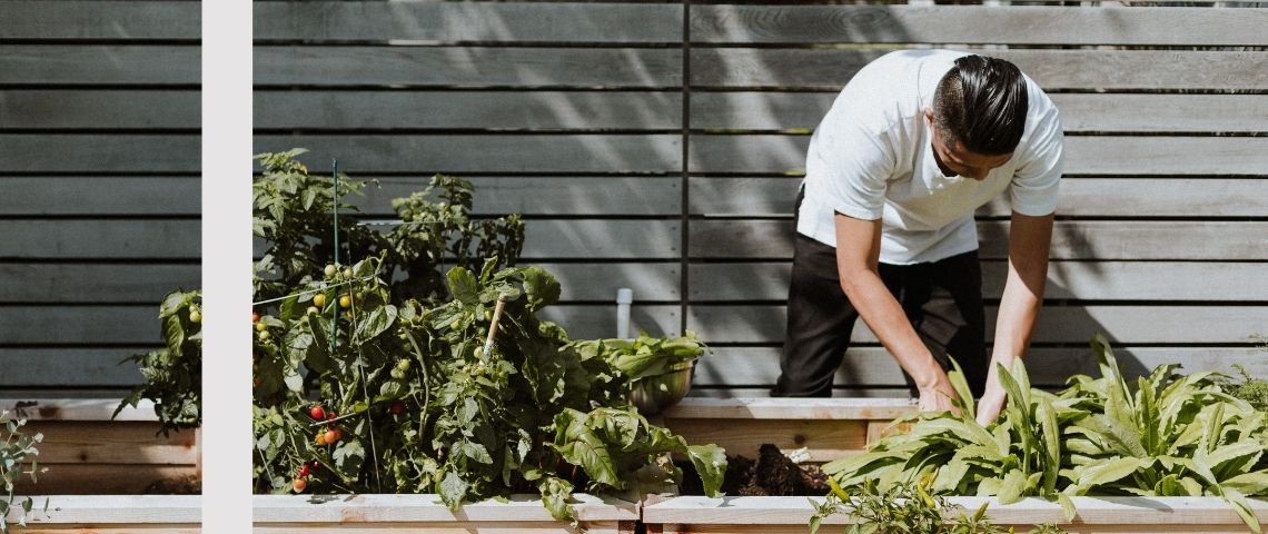 Leroy-merlin-hortusbox-paysagisme-espace-exterieur-digital-start-up-jardin-décoration Un homme qui jardine