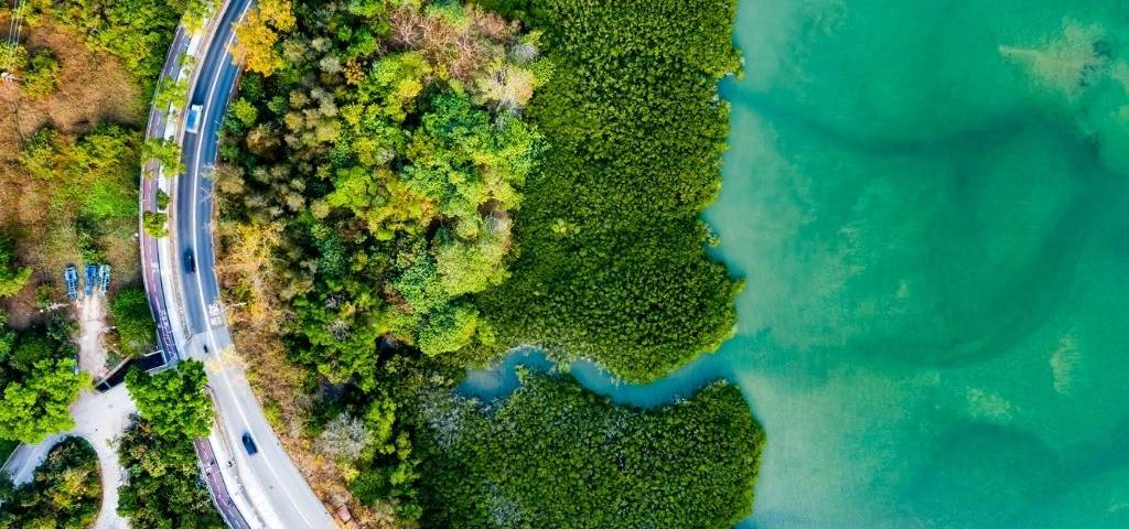 Image de la nature