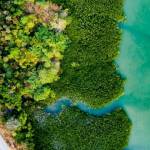 Image de la nature
