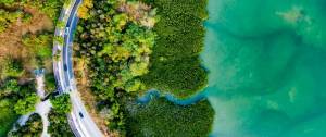 Image de la nature