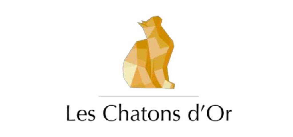 Les-chatons-dor-2021-creativite-innovation-idees-art-design-video-film Un chat couleur doré