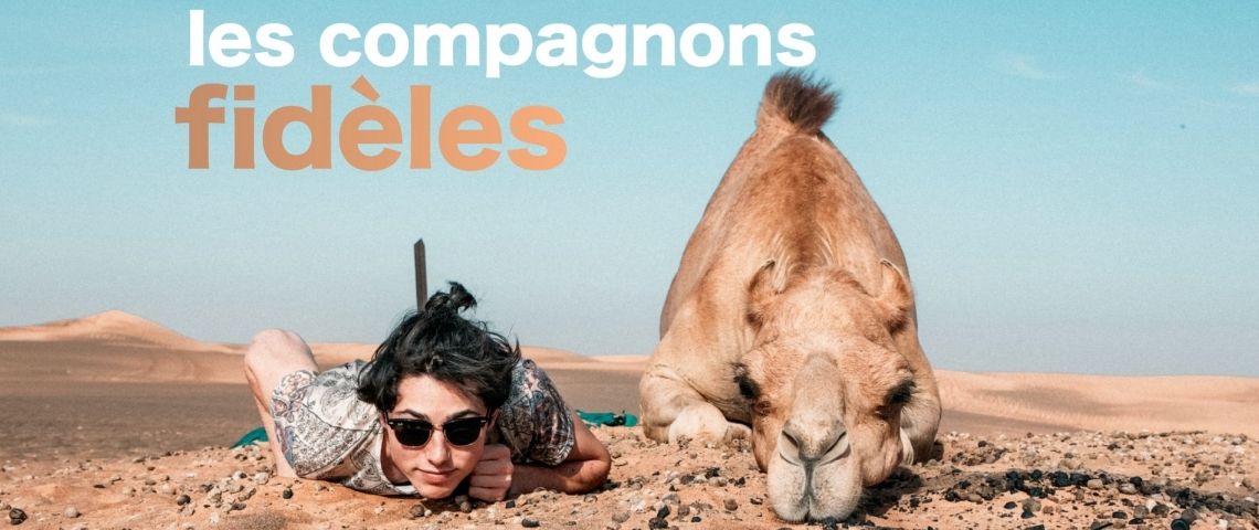 le Guide du Routard présente dans son nouveau spot TV comme « le compagnon idéal de vos voyages » Homme allongé avec ses côté un dromadaire également allongé