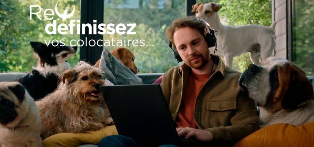 homme assis sur un canapé, devant un ordinateur, entouré de chiens, avec le message :  - Définissez vos colocataires - 