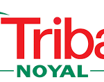 TRIBALLAT NOYAL