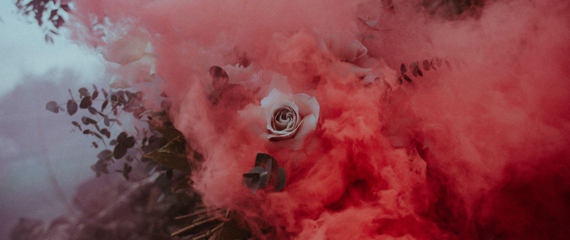 , WeTradeLocal est une plateforme tech permettant de connecter des unités de production agricole locales de toute taille avec des unités de transformation artisanales indépendantes Rose blanches avec une fumée rose