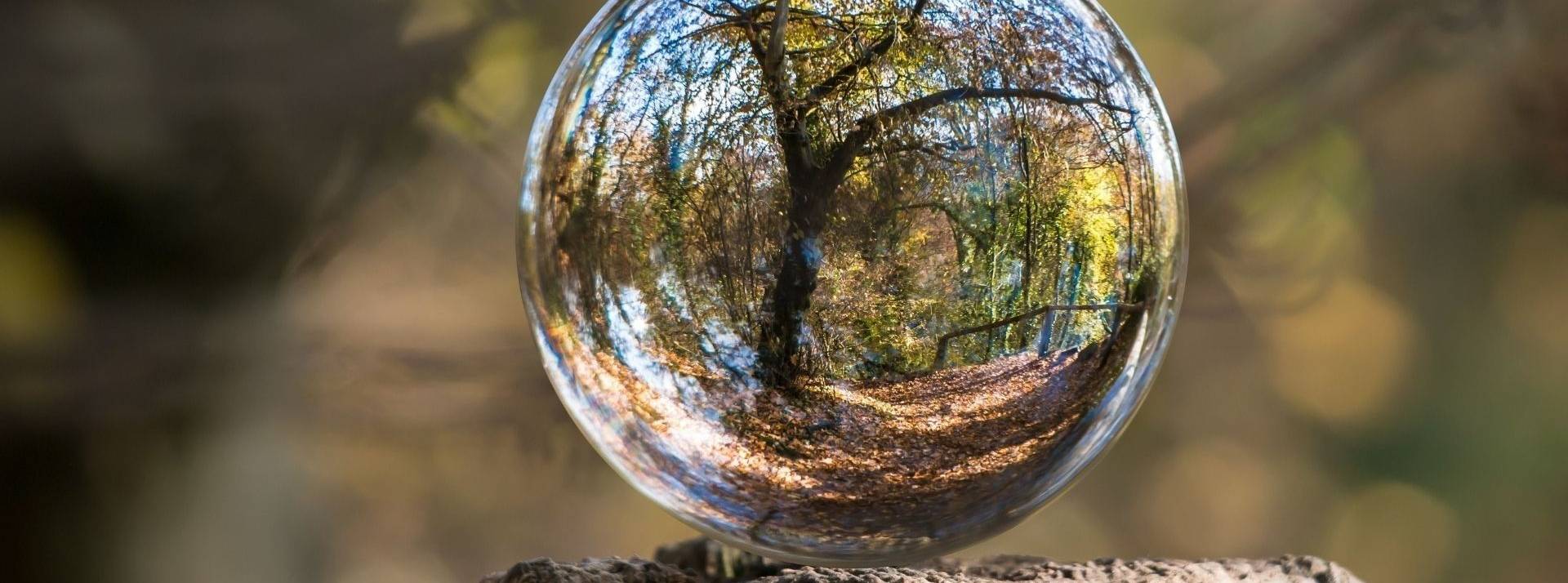 3 ans après sa création en 2018 Anotherway, acteur du zéro déchet en france devient entreprise à mission Arbre dans une goutte d'eau