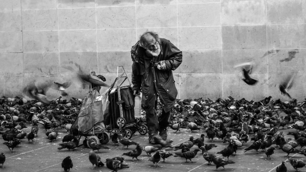 SDF entouré d'oiseaux