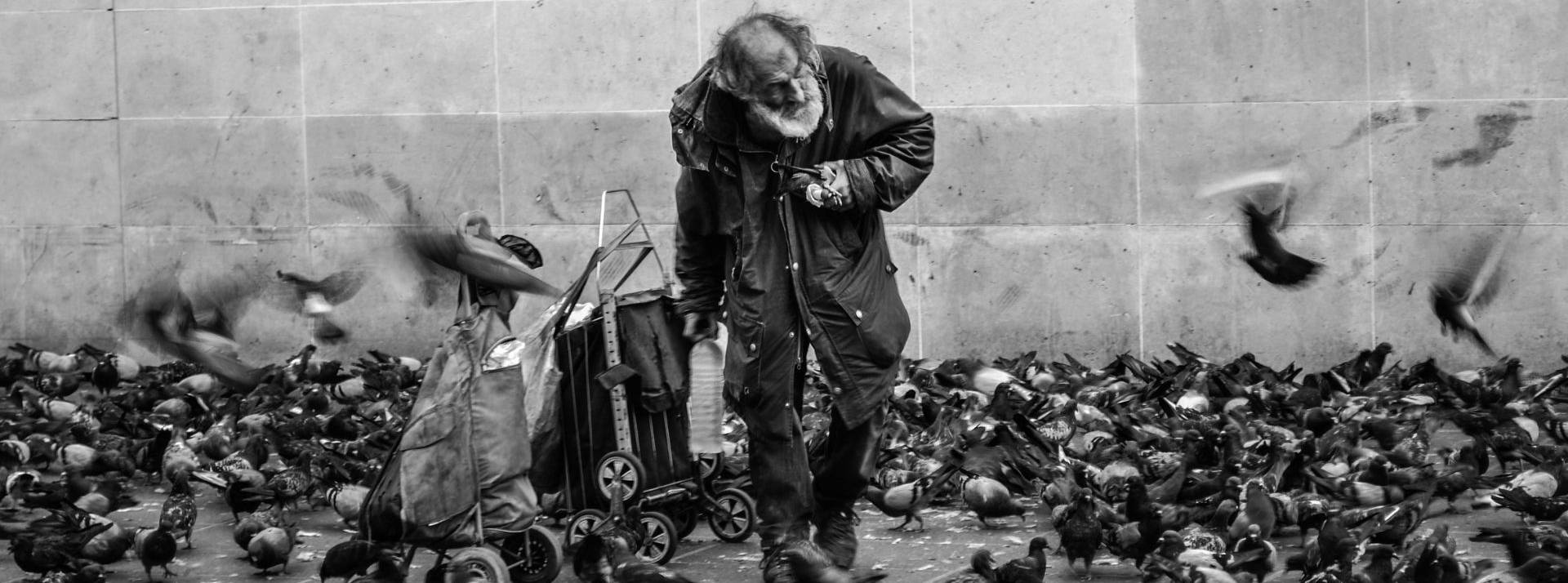 SDF entouré d'oiseaux