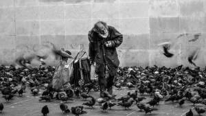 SDF entouré d'oiseaux