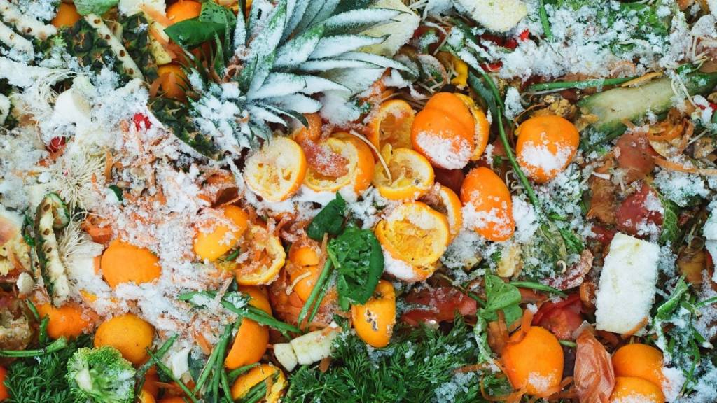 Fruits et légumes dans une poubelle