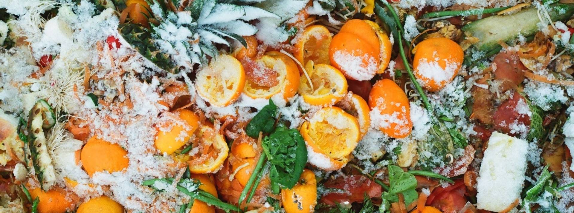 Depuis le début de l’été 2021, le magasin bio et solidaire en ligne La Fourche compte un nouveau rayon anti-gaspillage alimentaire. Fruits et légumes dans une poubelle