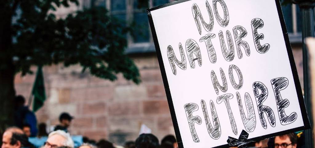 Pancarte ; No nature, no future