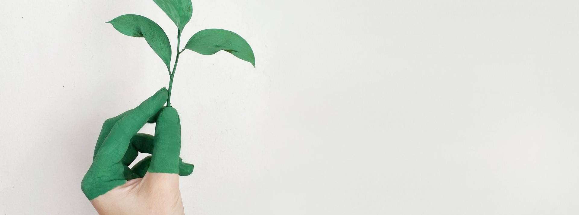 La Macif poursuit son action en faveur d’une finance durable et responsable en intégrant le Cercle des Institutionnels de Novethic. Main, plante verte