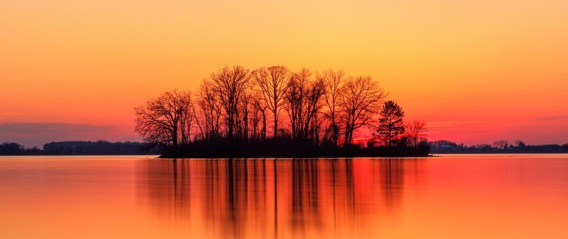 Climat : une affaire d'entreprises ?  Des arbres et un lac