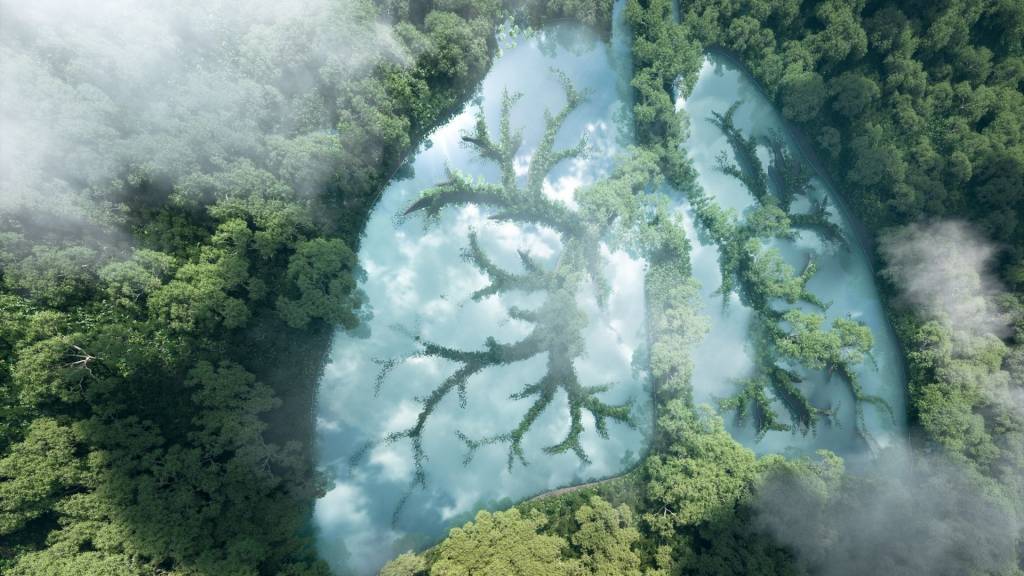 Poumon représenté par des arbres