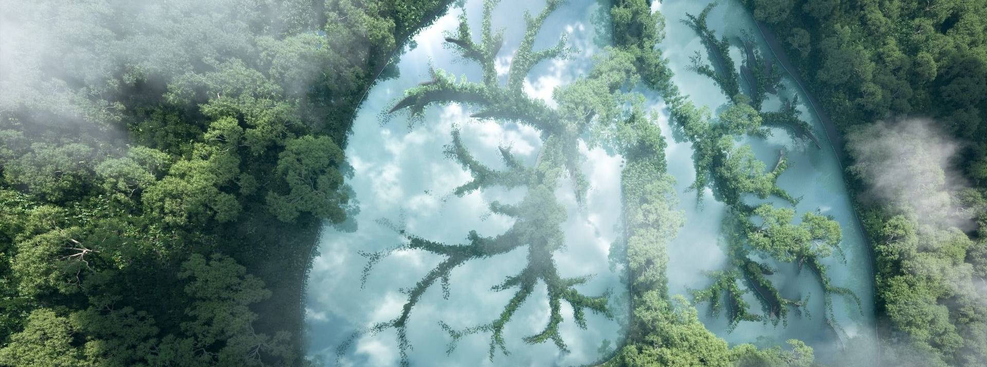 Atteindre une neutralité carbone après 1 an d’existence, un engagement réussi et atteint par Aerth, la jeune marque française de sport premium Poumon représenté par des arbres