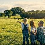 Homme accroupi dans un champ montrant des vaches à deux enfants