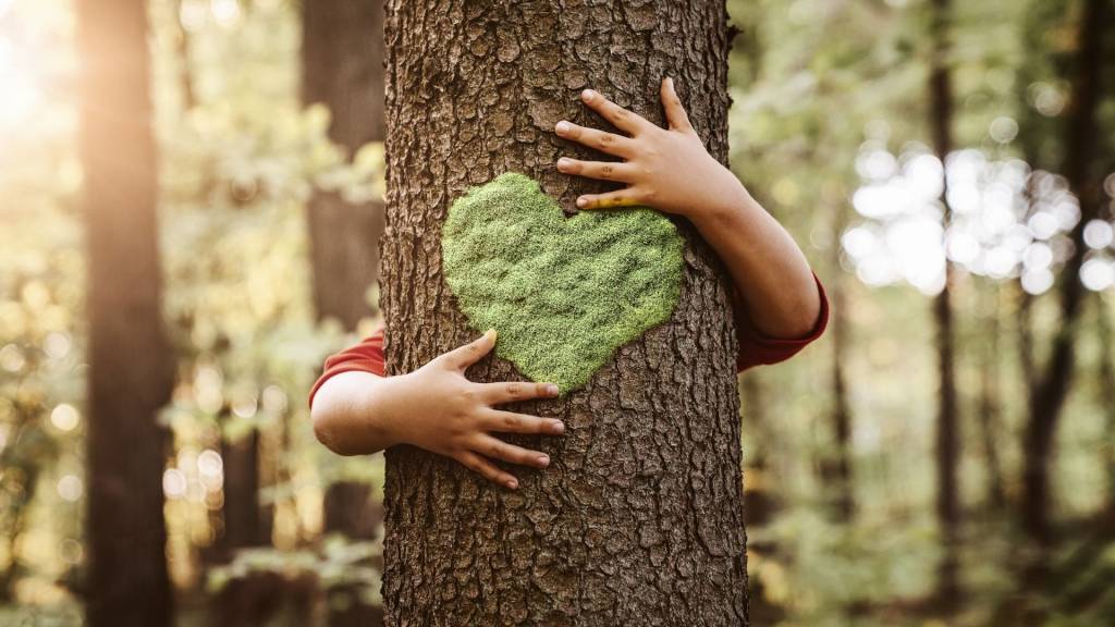 Main d'enfant serrant un tronc d'arbre, avec un coeur de mousse